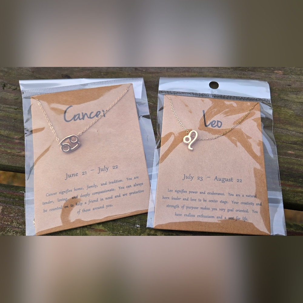 Zodiac Pendant Necklace - Picture 5 of 8